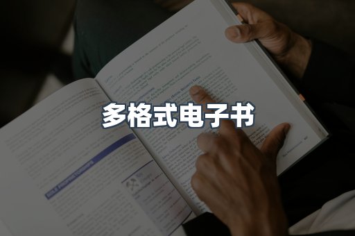 海外电子书